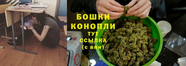 прущий лед Осташков