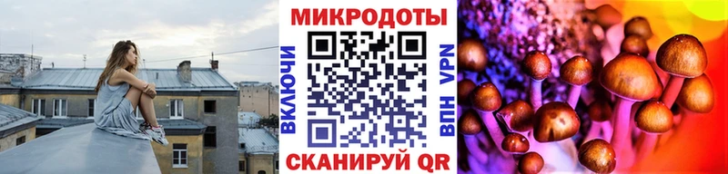 Галлюциногенные грибы ЛСД  kraken зеркало  Каменск-Шахтинский  даркнет сайт 